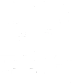 Teletón Fundación